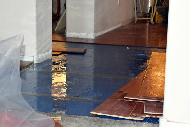 Professional Basement Water Removal technician working in Rochelle, IL